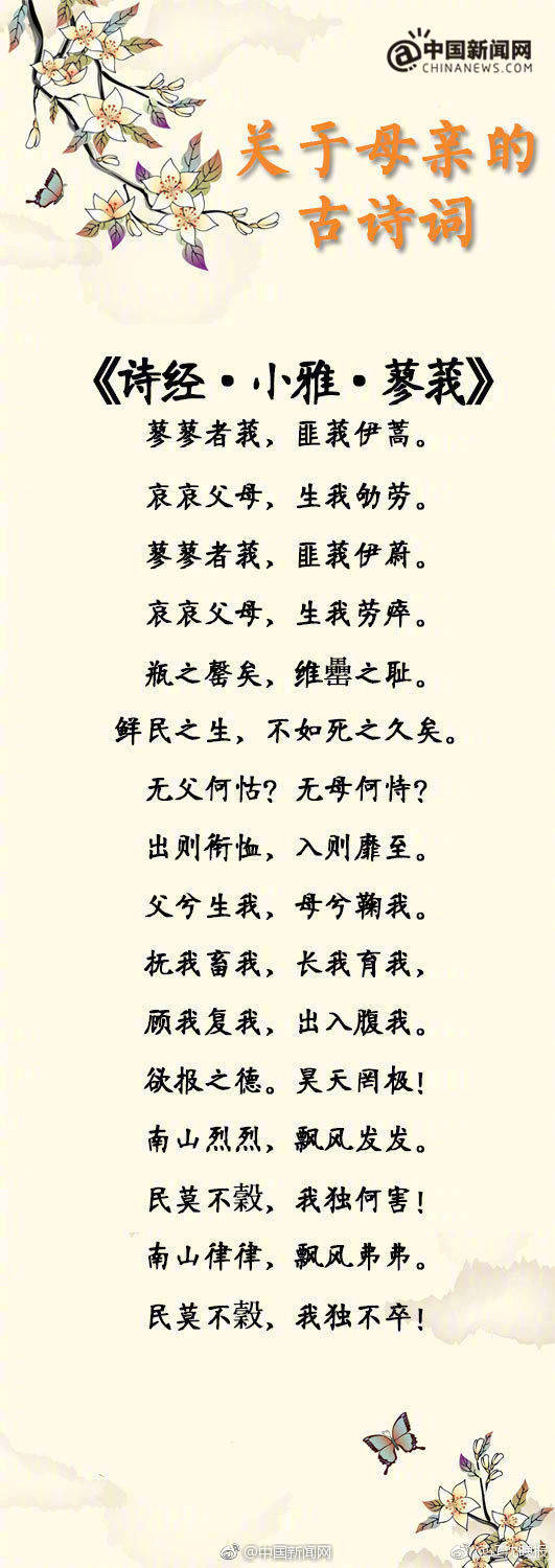 中国老熟女Hd