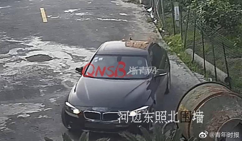 二级区域黄色网站