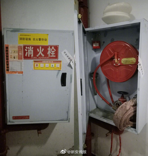 欧美性动态