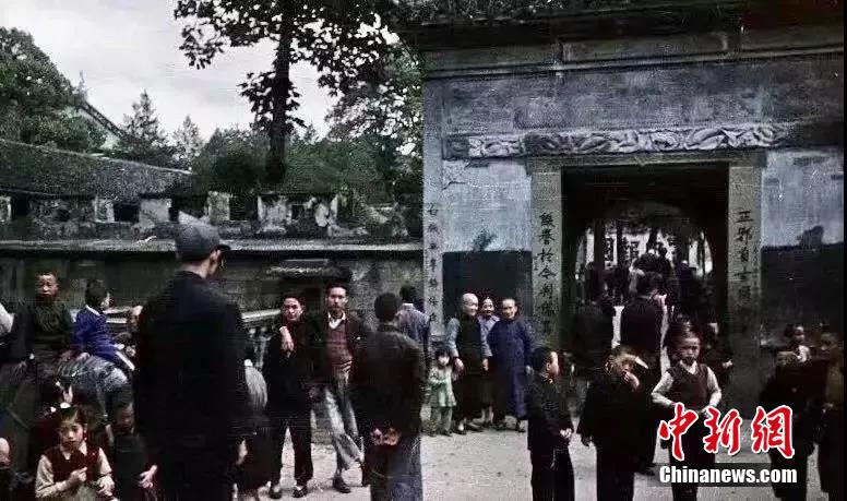 成年黄网站在线观看免费