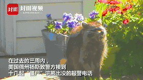 免费黄片哪里看