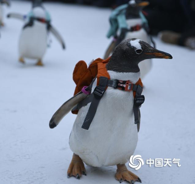 日韩欧美国产精品
