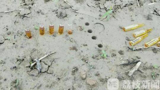 入江紗綾