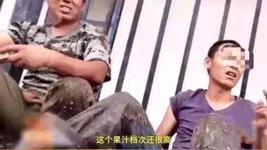 少妇与公豬在野外乱