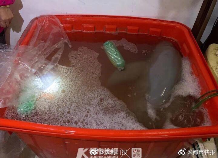 国产欧美综合一区