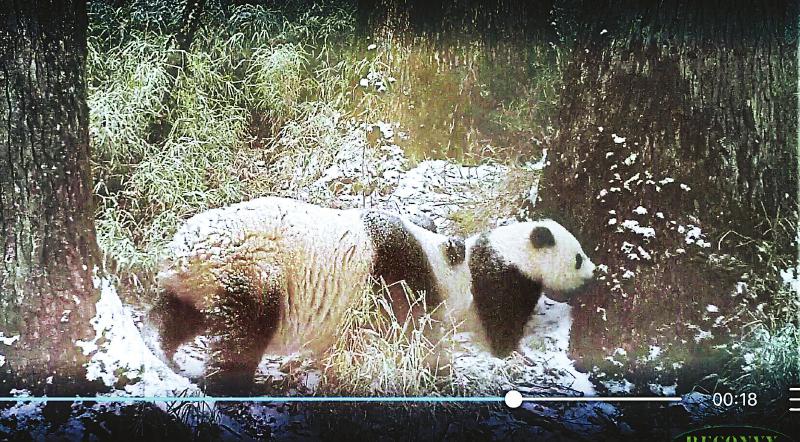 亚洲综合精品