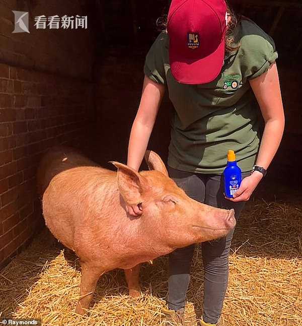 中国激情熟妇