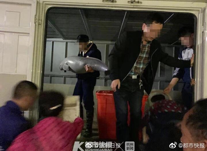 Free肥熟妇免费观看