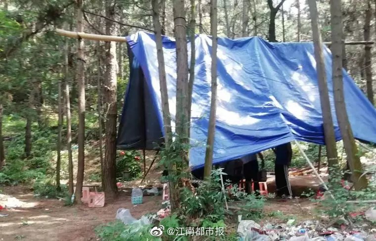 免费黄色网站无码