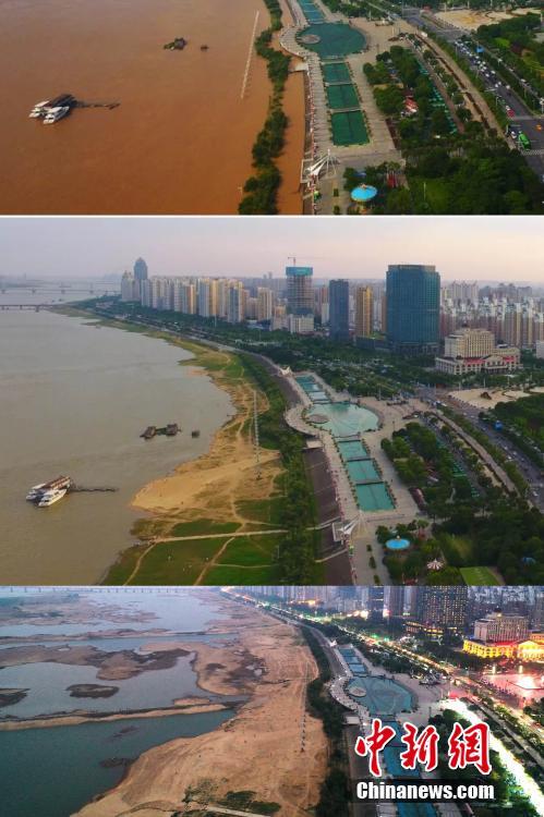 我和老女人疯狂性视频