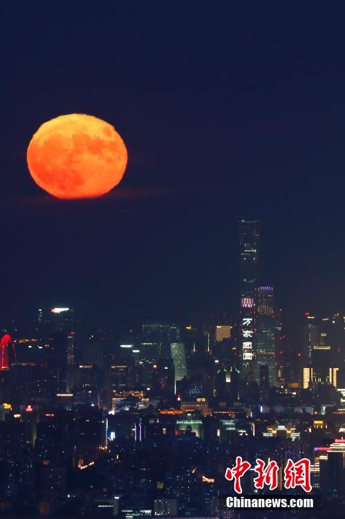 白丝被艹