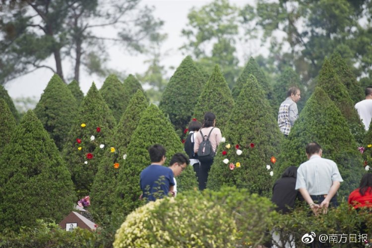 肥胖老女人特一级毛片