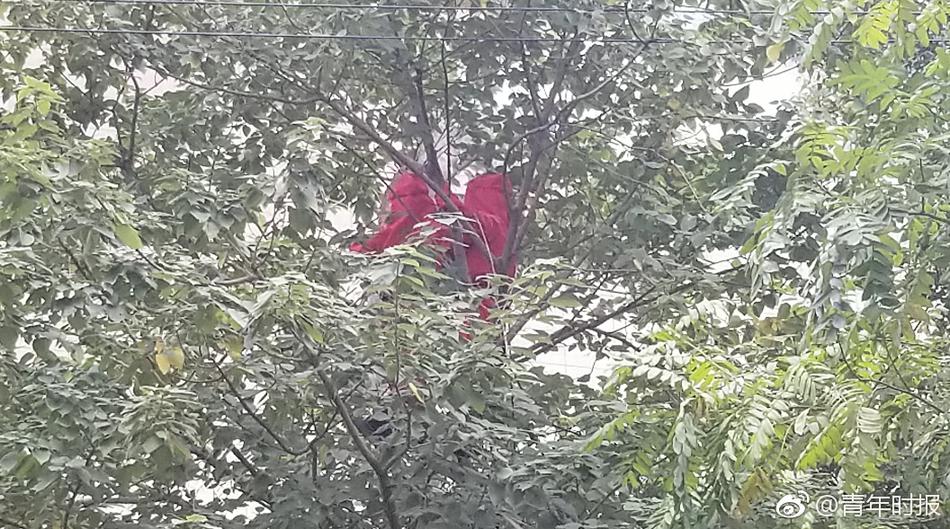 Av福利网站