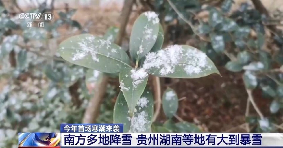 好吊视频一区二区