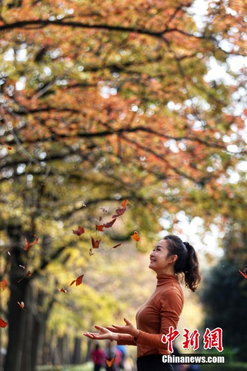 免费观看中国中老年人黄色视频
