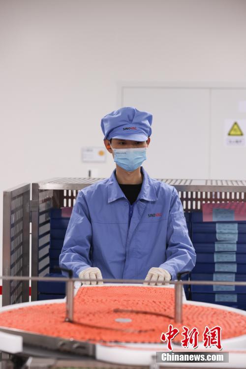 台灣性愛影片