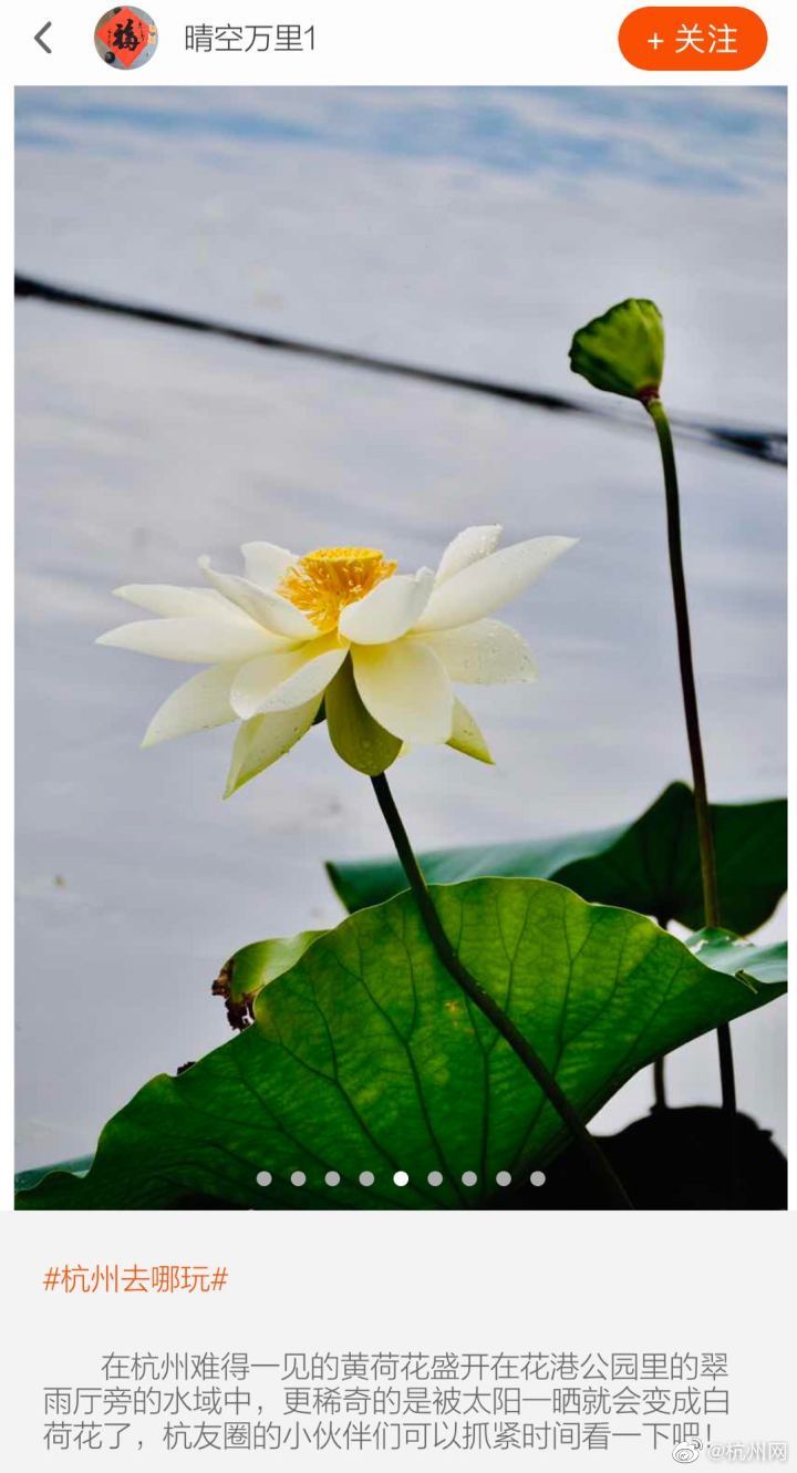 大陆 色 片