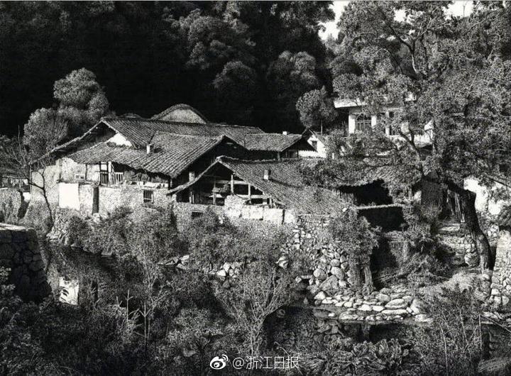 张攸雨裸体图片