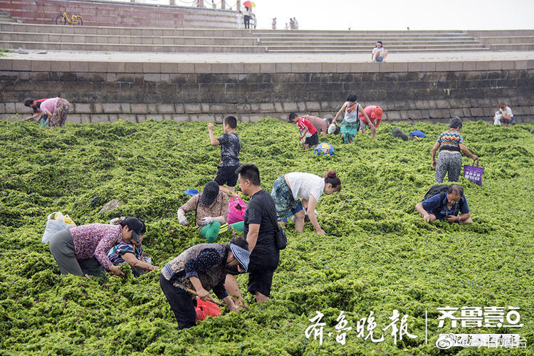 熟妇的味道Hd中文字幕