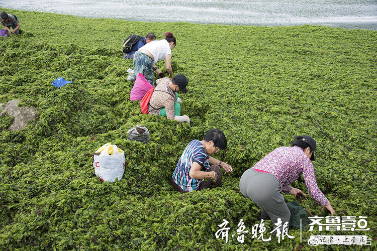 约会 网站