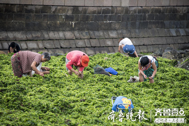 成年人视频免费在线看
