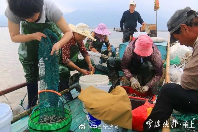 浅田舞