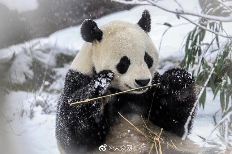 爽 好紧 别夹大巴h