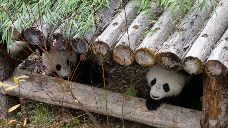 免费 看 性爱