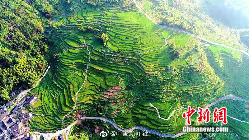性爱 色情 电影