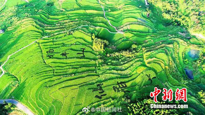 麻豆91精品91久久久的内涵