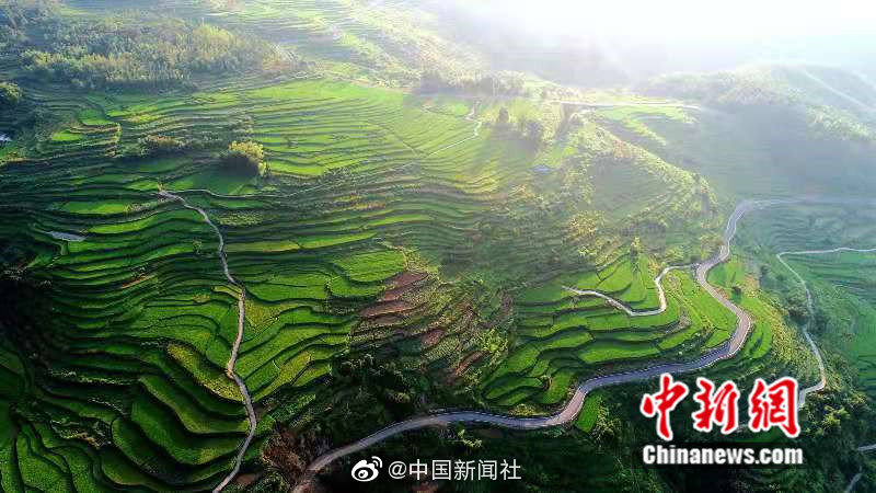 中国老头吃老头j亅巴