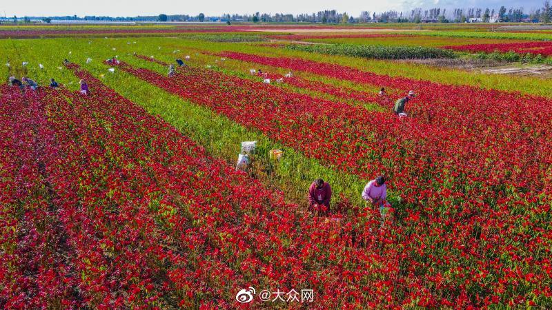 动漫人物扒开腿狂 触手