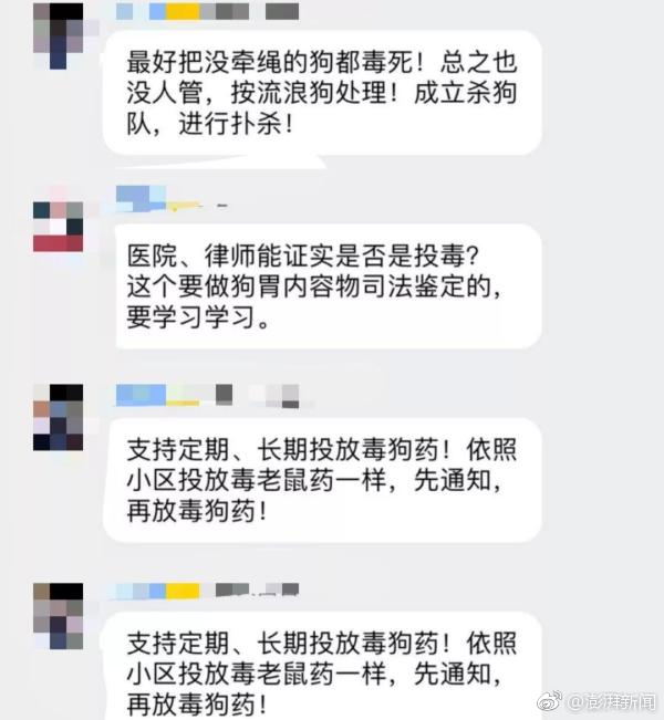张柏芝的性XXⅩ交XXXX