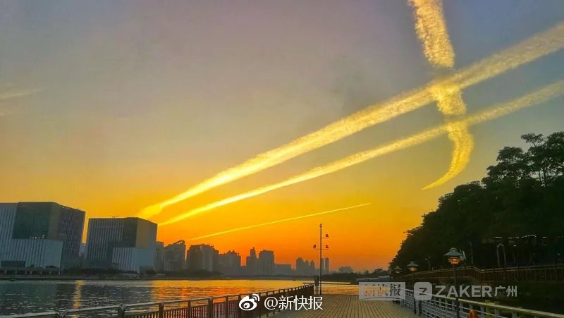 动漫  爆乳  动漫技女水纲手