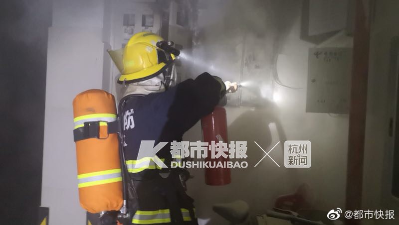 四川少妇一级毛片高清视频
