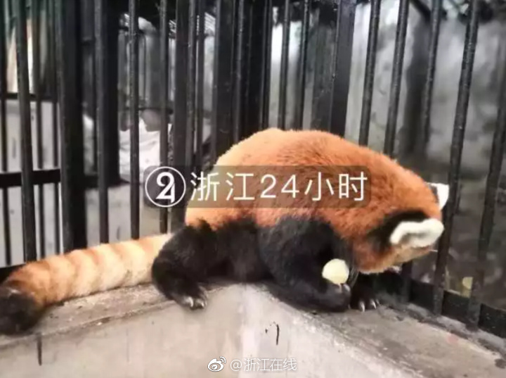 www国产精品