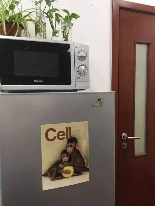 古代黄色片