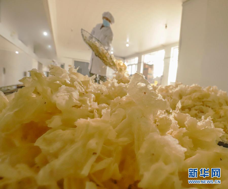Xxxx Free Chinese Hd