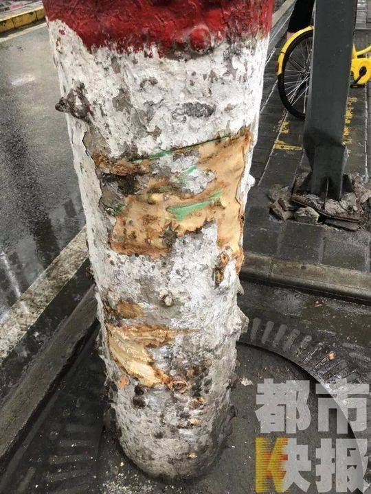 雷神触摸3.0无限亲密值