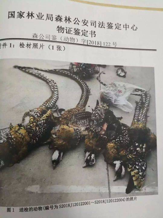 国产交换娇妻A片
