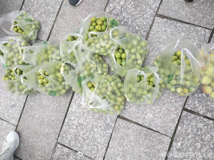 入江紗綾