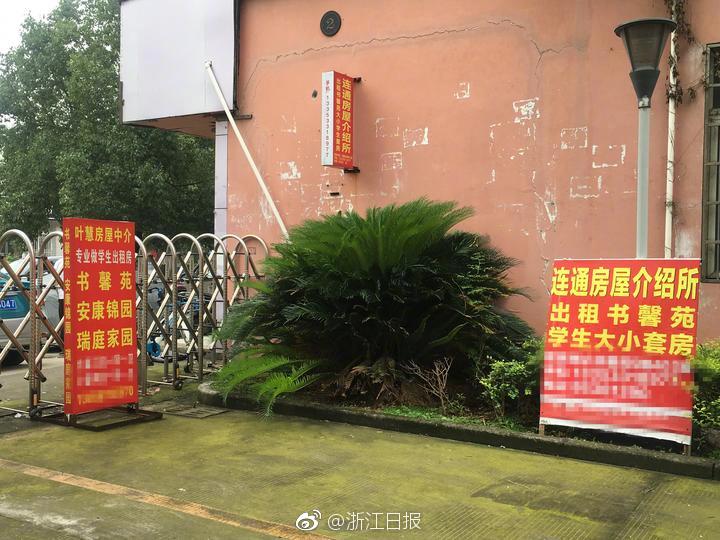 黄黄片加三级片