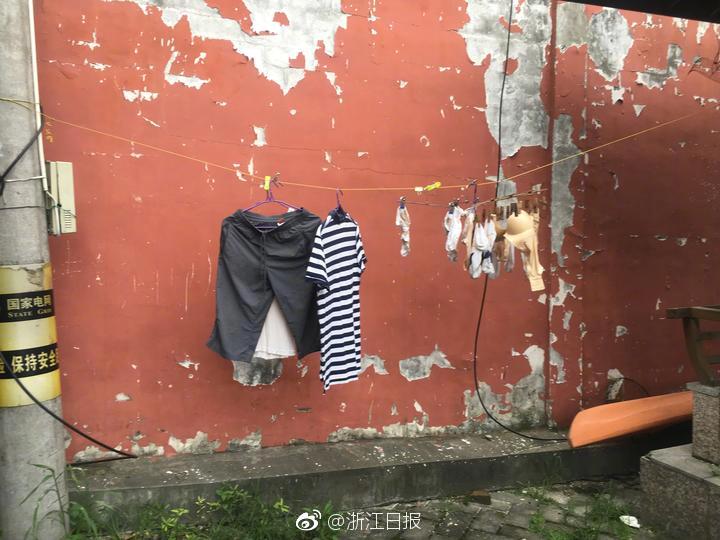 狗狗操美女马儿操美女