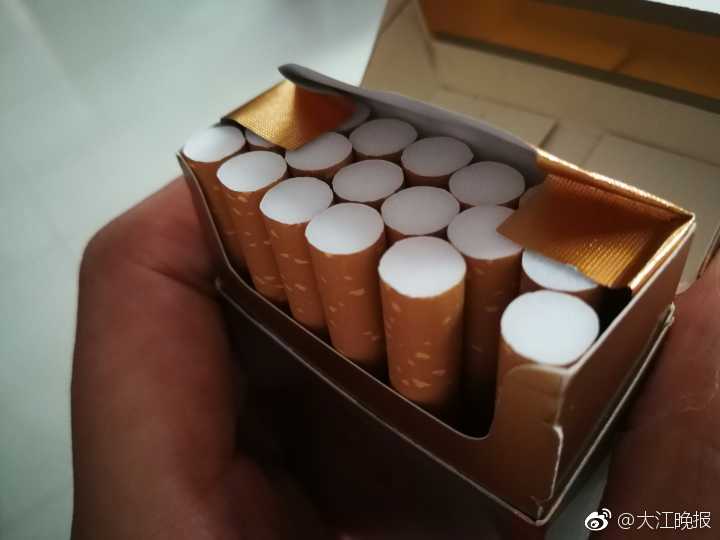 成人 色 片 下载