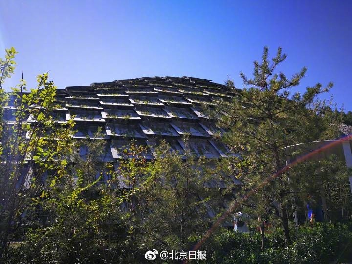 国产欧美自拍