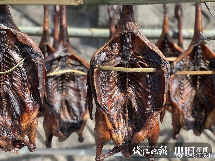 黄色网网站在线免费看
