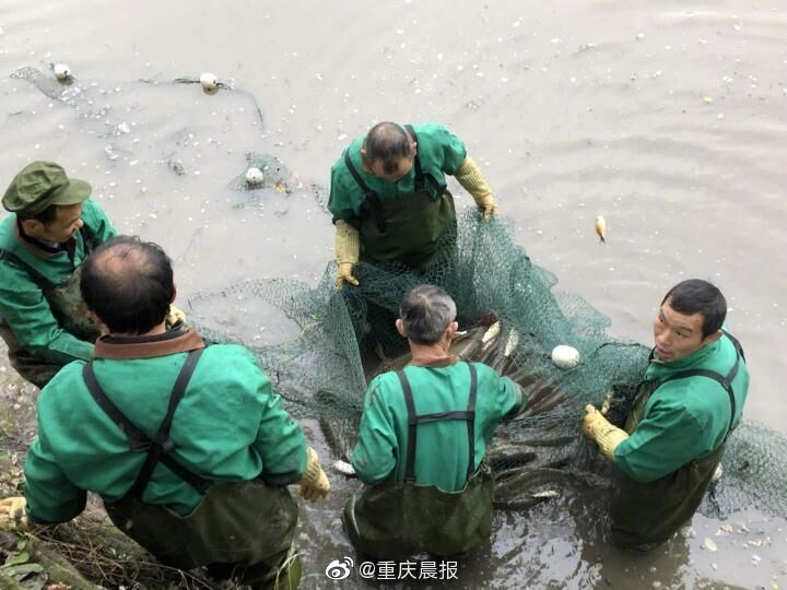 激情内射人妻1区2区3区