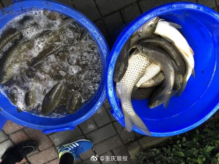 寻欢洞