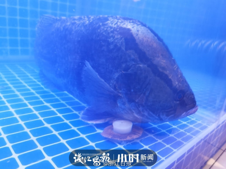 神谷充希