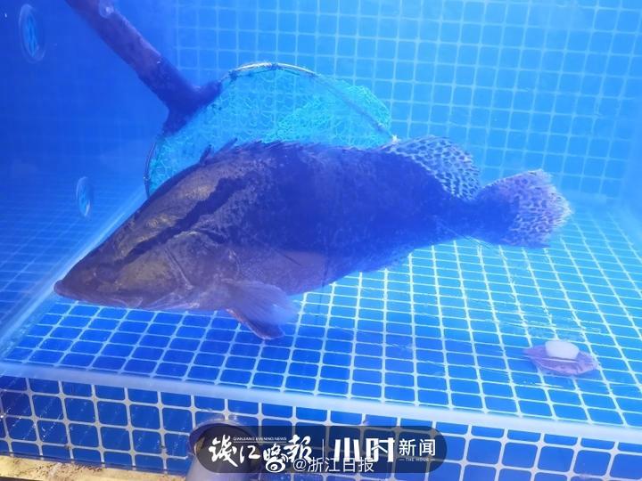 中国黄色电影